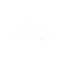 the den electronic studios logo on a black background